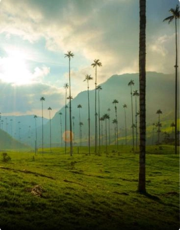 Quindío - Valle