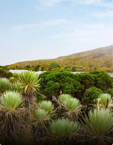 Sumapaz