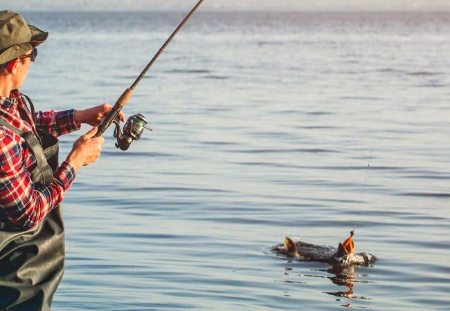 Practica la pesca deportiva en Colombia