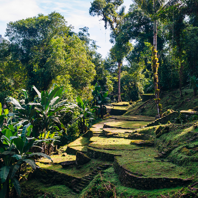 Trekking trails at the Lost City in Santa Marta, Colombia