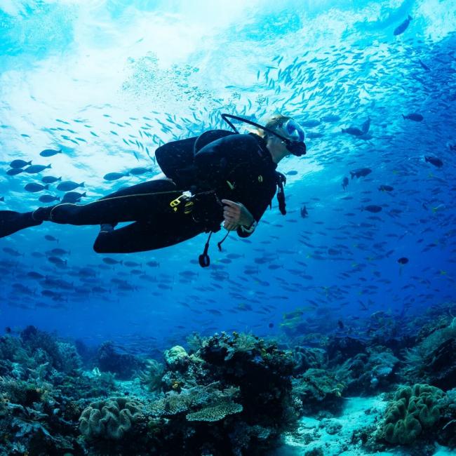 A tourist is diving into San Andrés and Providencia Ocean.