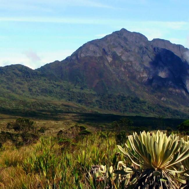 Foto el Parque Nacional Natural Tamá