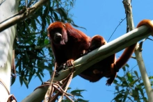 Nature Trips Colombia