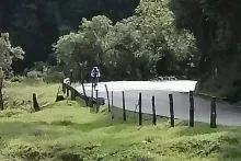 Peak DMC Colombia.