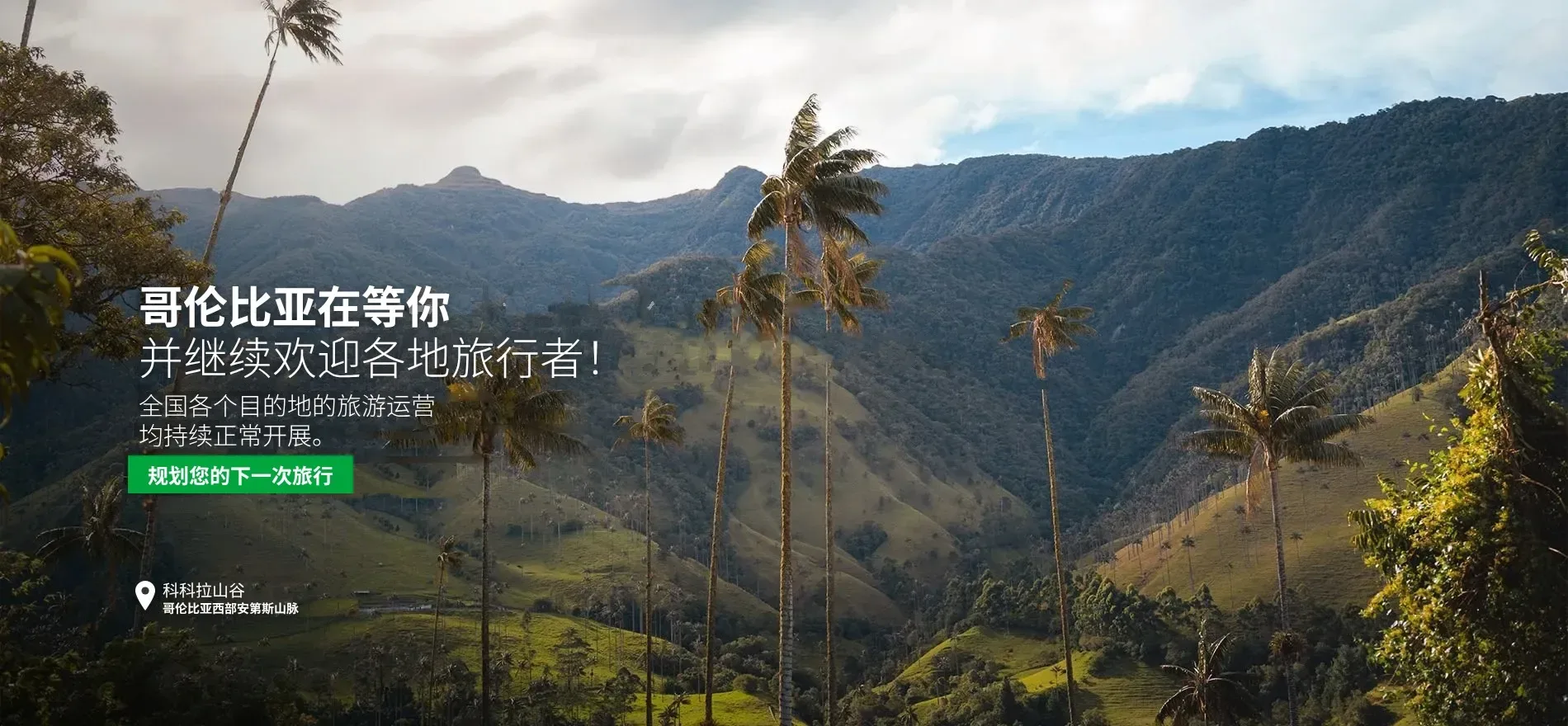 Paisaje valle del Cocora