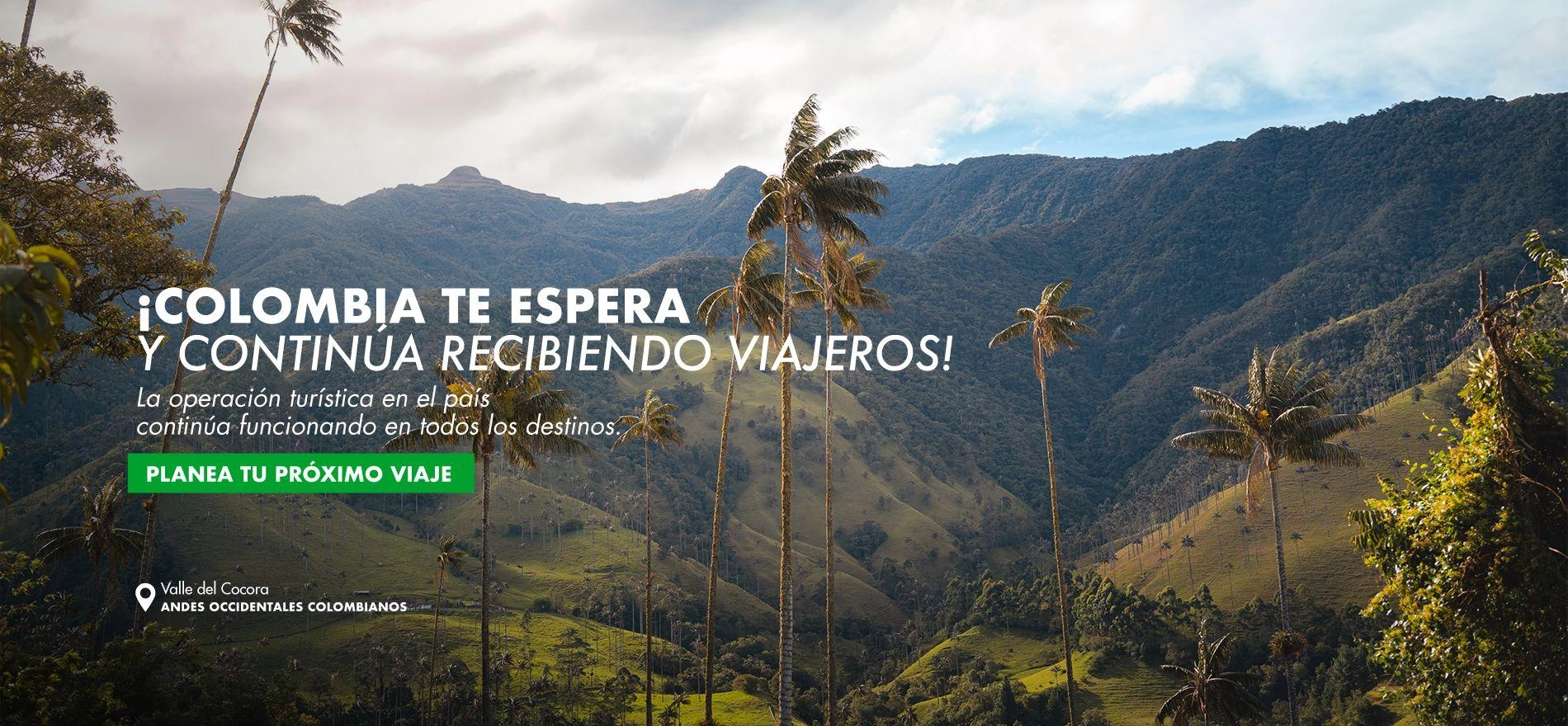 Paisaje valle del Cocora