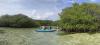 Der Mangroven-Regionalpark Old Point