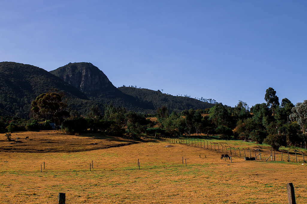 Tabio y Tenjo. Finca rodeada por montañas verdes en un día soleado, una actividad de aventura en Cundinamarca