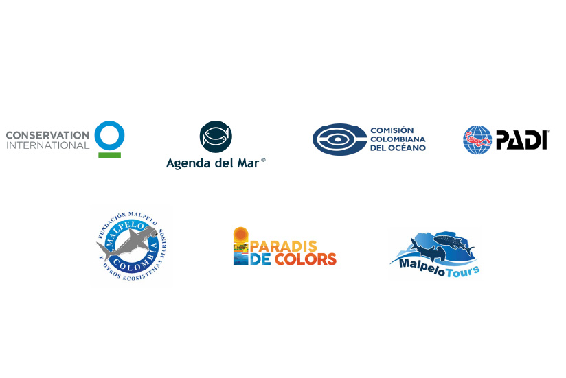The guide was co-created by ProColombia with the support of these diving actors.
