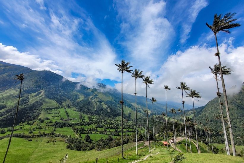 Cocora Valley